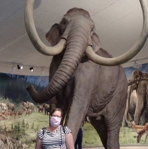 Meet your Posher, Julie